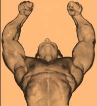 C:\Users\Dennis\Documents\Misc Bodybuilding Graphic and Photo Scans A-R\Freddy Ortiz - Overhead Pose.jpg